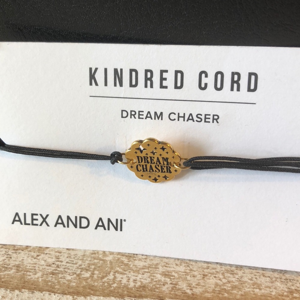 Alex and Ani Dream Chaser Sterling Silver 14k NWT